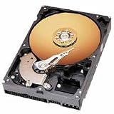 WDCHDD160 - Hard Drive Disk, 160 GB, 7200RPM Motor