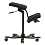 Varier Wing Balans Kneeling Chair