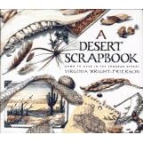 A Desert Scrapbook: Dawn to Dusk in the Sonoran Desert