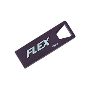 Patriot Memory (Direct) Flex USB 16 GB Flash Drive – Purple (PSF16GFXUSB)