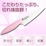 ��Z��160�@�N�@SAC-16