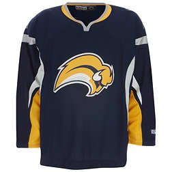 Buy Buffalo Sabres Youth Semi-Pro Team Color Jersey