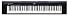 Yamaha NP30 Portable Grand Piano