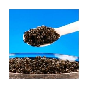 Bearii Caviar 1oz by 