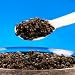 Gourmet Food : Bearii Caviar 1oz
