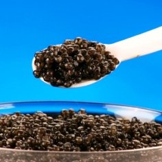 Bearii Caviar 1oz by Bemka
