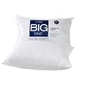 Microfiber Pillow