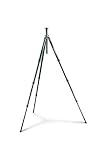 Gitzo GT2940C Basalt Series 2 4-Section Tripod (Black)