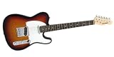 PLAYTECH �G���L�M�^�[�@�e���L���X�^�C�v�@TL-250 SUNBURST