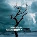 A Tribute to Shinedown