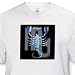 Zodiac Signs Horoscope - Scorpio Zodiac Sign - T-Shirts