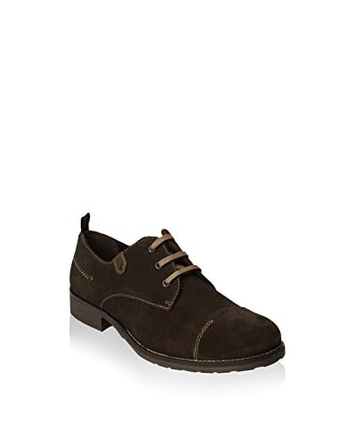 SHEPPERD & SONS Derby