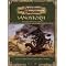 Play Dungeons and Dragons 3.5