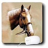 Horse - Palomino Horse - Mouse Pads