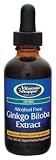 Vitamin Shoppe - Ginkgo Biloba Extract, 2 fl oz liquid