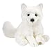 Arctic Fox