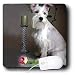 schnauzer14  - Dogs Schnauzer White Schnauzer Mouse Pads