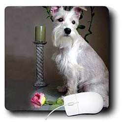 image link -  - B000EFATEI