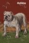 Art Poster Print - White Bulldog - Artist: unknown- Poster Size: 28 X 19