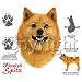 Finnish Spitz Adult Sweatshirt