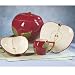 Franciscan Apple 3D Hancrafted Salad Plate