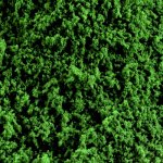 Noch Coarse Turf 36 Oz Gras Dunkelgrün