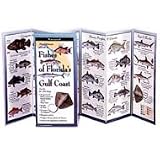 Fish-Id Guide Florida's Gulf Coast