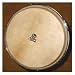 Aspire Rawhide Djembe And Conga Heads For LP630 Djembes