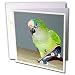 Birds - Skateboard Conure - Greeting Cards-6 Greeting Cards with envelopes