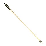 Arrow-Of-Light Display Wood Arrow W/Broadhead