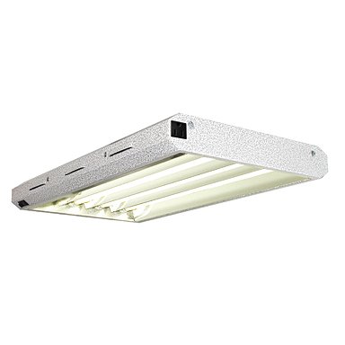  Pioneer IV Jr 2 Foot - 4 Bulbs T5 