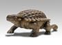 Revell 1:13 Ankylosaurus (Tank) Dinosaur