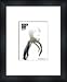 KEREN ANN Album - Custom Framed Original Ad - Framed Music Poster/Print