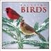 Backyard Birds 2009 Calendar