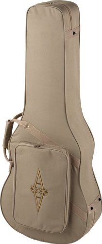 Alvarez DC2 Lightweight Case Style Guitars