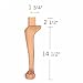 Adams Wood - AW-ACB17-1 - ACB17-1 17in. Claw and Ball Leg MAPLE