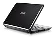 MSI Wind U100-843 10-Inch Black Netbook - 5.5 Hour Battery Life
