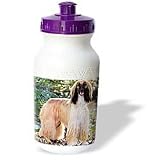 Dogs Afghan - Afghan Hound - Water Bottles