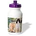 Dogs Afghan - Afghan Hound - Water Bottles