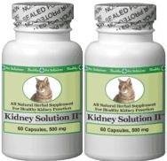 Healthy Pet Solutions Feline Kidney Solution II 2 Bottles Capsule Format