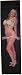 ROOFIES skateboard griptape GRAPHIC HOT GIRLS Frontal