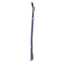 Firstrax 6-Foot Glo'n Go Medium Leash, Purple