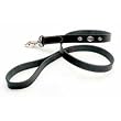 Coastal Pet Harley-Davidson Leather Dog Leash / Lead (Black, 4 ft. L x 1 Inch W)