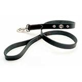 Coastal Pet Harley-Davidson Leather Dog Leash / Lead (Black, 4 ft. L x 1 Inch W)