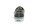 Vans Kids Authentic (2-Tone) Skate Shoe