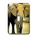 Wild animals - African Elephant - Light Switch Covers - single toggle switch
