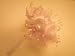 72 Pink Wedding Bridal Pearl Satin Organza Flower
