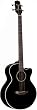 EG512CB 4 String Acoustic Electric Bass (Gloss Black)