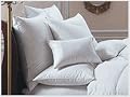 Phoenix Down 75 WDF 25 WDD 20x26 Inch Std Bed Pillow