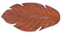 Craftmade Fan Blade Set B556T-LO1 Five, Tropic Isle Philodendron Leaf Blades